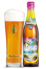 Waldhaus Aloha Waldhaus Aloha